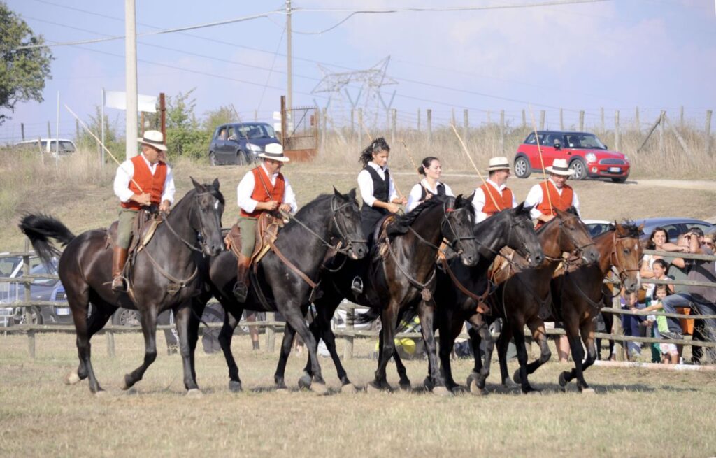 Butteri a cavallo