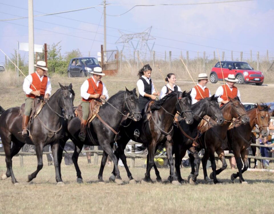 Maremma: escursioni a cavallo coi butteri e spettacoli d'altri tempi per vivere esperienze indimenticabili e riscoprire antiche tradizioni.