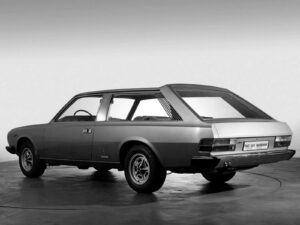 Le shooting Brake del gentleman