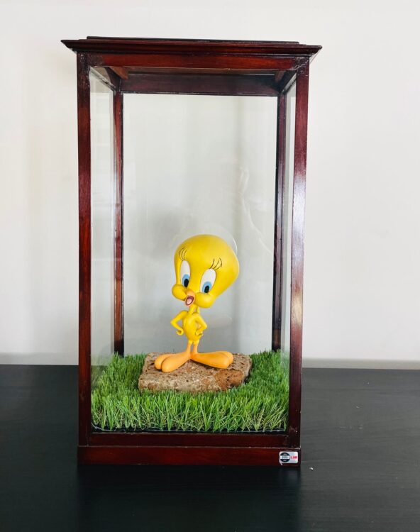 Tweety contenuto in teca vetro e legno di fine '800, la nuova creazione per gli amanti del collezionismo vintage realizzata da Cristian Sutti. 
