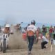 Wheels and Waves Italia il festival di appassionati di moto si è svolto al Lido di Camaiore, in Toscana.