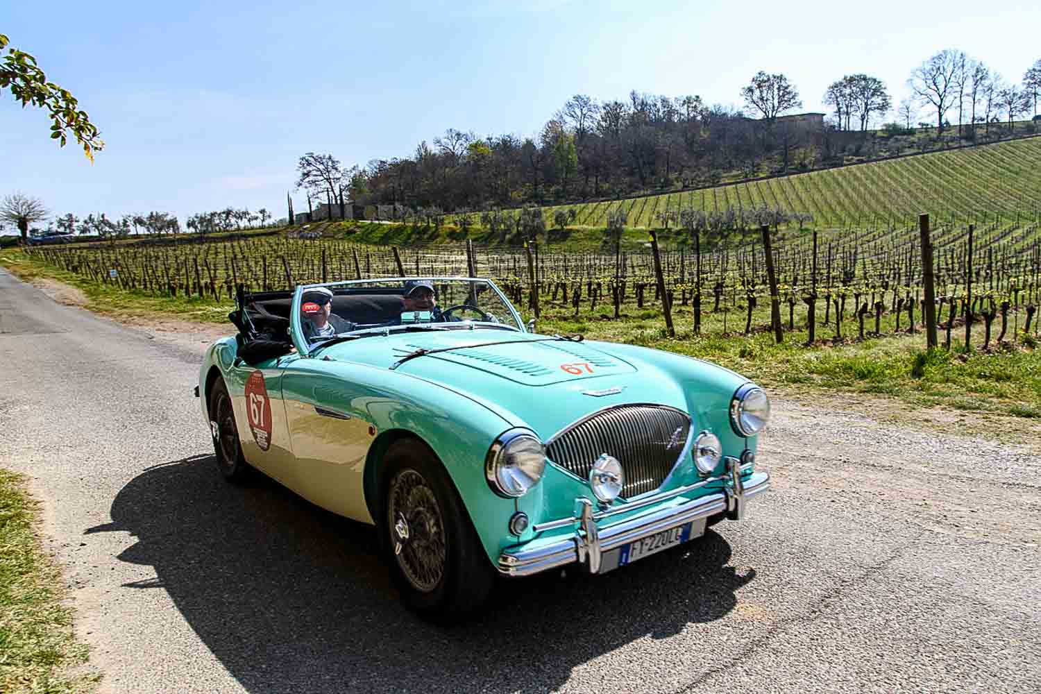Austin Healey 100 M del 1956 guidata da Botti