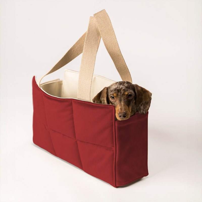Cucce per cani Marta Dog Closet la creatività di Simona diventa moda nel mondo degli animali
