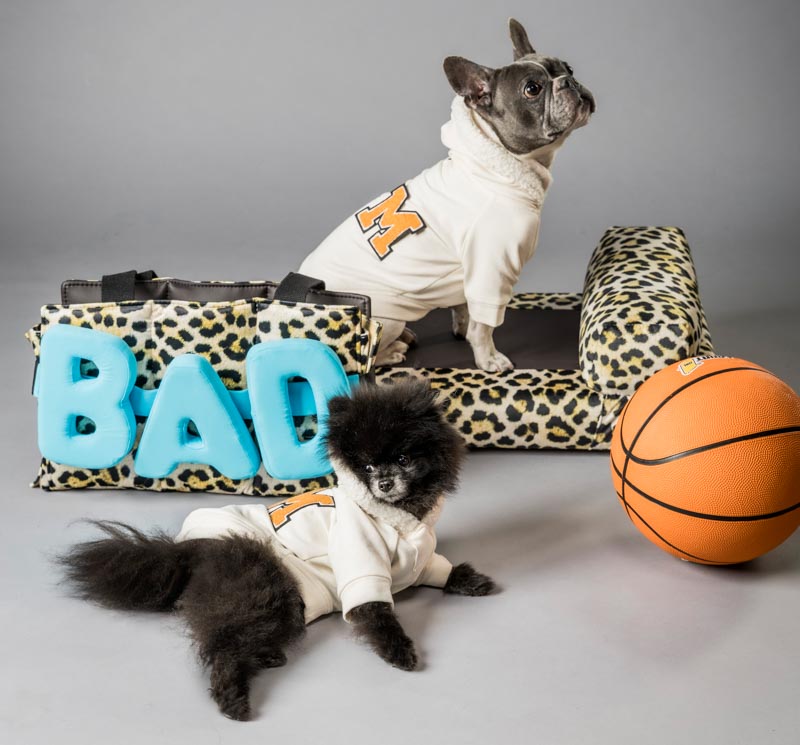 Cucce per cani Marta Dog Closet la creatività di Simona diventa moda nel mondo degli animali