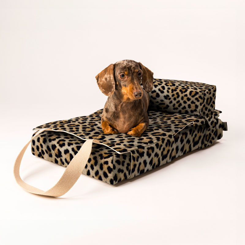 Cucce per cani Marta Dog Closet la creatività di Simona diventa moda nel mondo degli animali