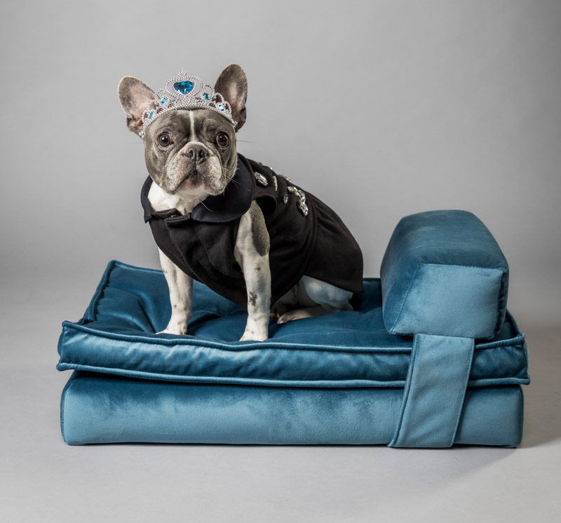 Cucce per cani Marta Dog Closet la creatività di Simona diventa moda nel mondo degli animali