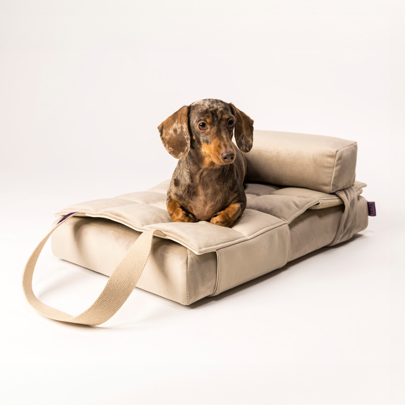 Cucce per cani Marta Dog Closet la creatività di Simona diventa moda nel mondo degli animali