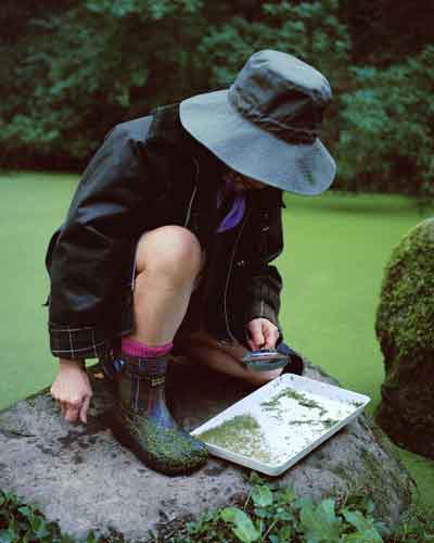 Barbour x Crocs il classico incontra il comfort